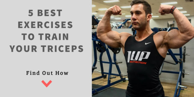 5 Best Exercises to Train Your Triceps Exercises to Train Your Triceps