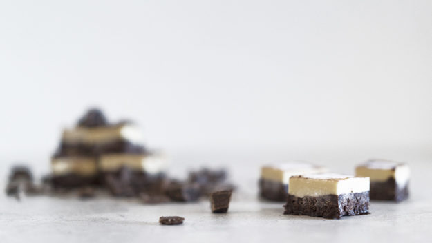 Double Layer Protein Fudge Double Layer Protein Fudge