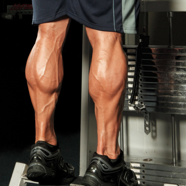 Calf Development More Than Just Reps and Sets Calf Development More Than Just Reps and Sets