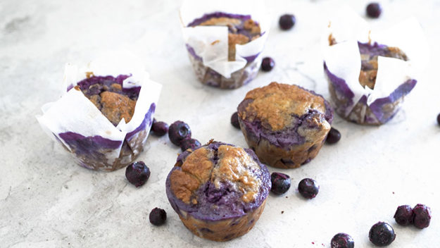 Blueberry Protein Muffins Blueberry Protein Muffins